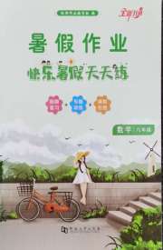 快乐暑假天天练八年级数学