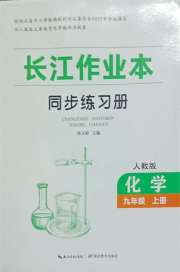 长江作业本同步练习册九年级化学人教版
