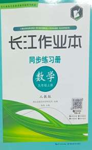 长江作业本同步练习册九年级数学人教版