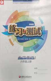 练习与测试小学英语六年级译林版
