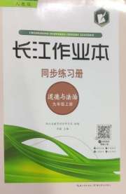 长江作业本同步练习册九年级道德与法治人教版
