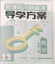 新课程问题解决导学方案九年级化学人教版