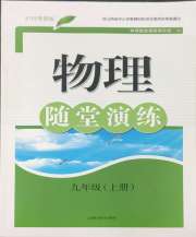 随堂演练九年级物理沪粤版