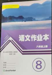 作业本八年级语文人教版浙江教育出版社