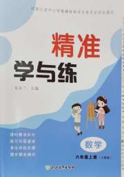 精准学与练六年级数学人教版