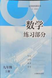 数学练习部分九年级第一学期沪教版