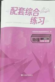 配套综合练习甘肃九年级物理人教版