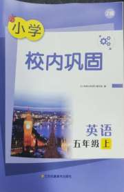 校内巩固五年级英语译林版