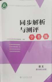 同步解析与测评学考练九年级语文人教版江苏专版
