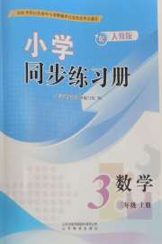 同步练习册山东教育出版社三年级数学人教版