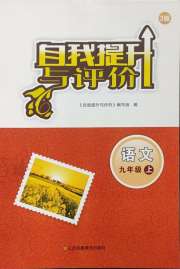 自我提升与评价九年级语文人教版