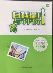 自我提升与评价九年级数学人教版