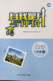 自我提升与评价八年级英语译林版