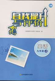 自我提升与评价九年级英语译林版