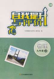 自我提升与评价九年级物理苏科版