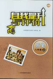 自我提升与评价八年级历史人教版