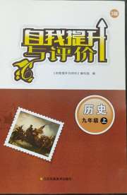 自我提升与评价九年级历史人教版