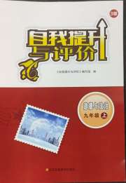自我提升与评价九年级道德与法治人教版