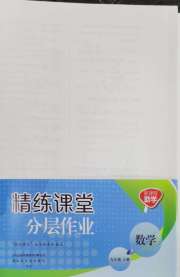 精练课堂分层作业九年级数学北师大版