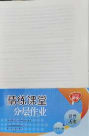 精练课堂分层作业九年级历史人教版