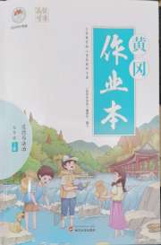 黄冈作业本武汉大学出版社九年级道德与法治人教版