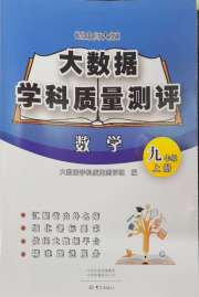 大数据学科质量测评九年级数学北师大版