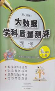 大数据学科质量测评九年级英语人教版