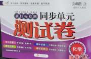 新目标检测同步单元测试卷九年级化学人教版