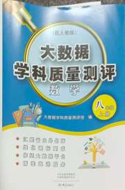 大数据学科质量测评八年级数学人教版