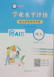 学业水平评价九年级语文人教版