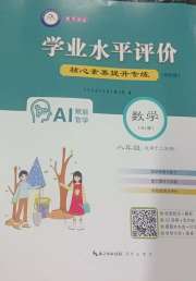 学业水平评价八年级数学人教版