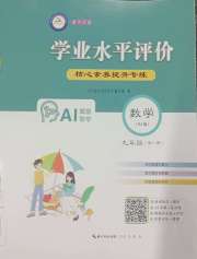 学业水平评价九年级数学人教版