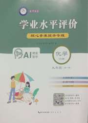 学业水平评价九年级化学人教版
