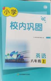 校内巩固六年级英语译林版