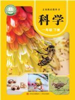 2025年教材课本一年级科学下册青岛版
