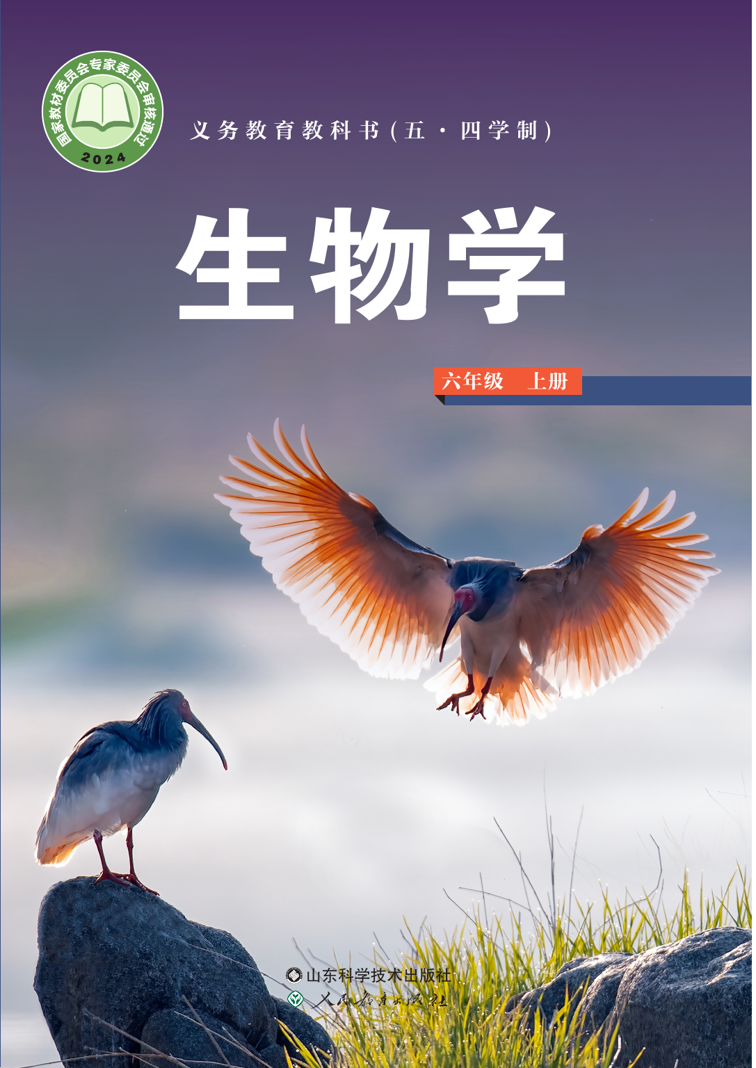 2026年教材课本六年级生物上册鲁科版54制