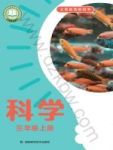 上册