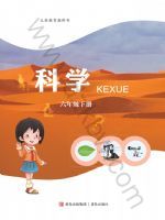 2025年教材课本六年级科学下册青岛版