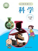 2025年教材课本五年级科学下册湘科版