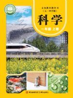 2025年教材课本一年级科学上册青岛版五四制