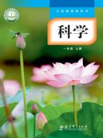 2025年教材课本一年级科学上册教科版