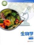 上册