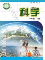 2025年教材课本一年级科学下册苏教版