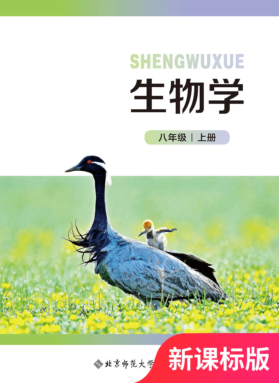 2025年教材课本八年级生物上册北师大版