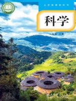 2025年教材课本二年级科学上册教科版