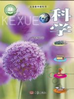 2025年教材课本三年级科学下册大象版