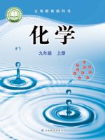 2025年教材课本九年级化学上册鲁教版