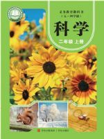 2025年教材课本二年级科学上册青岛版五四制