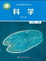 2025年教材课本六年级科学上册教科版