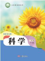 2025年教材课本一年级科学下册大象版